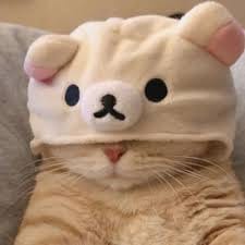 نورین جمال avatar